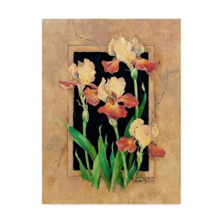 Barbara Mock ' Framed Iris' Canvas Art,14x19